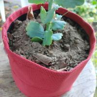 Textilene Outdoor Pots
