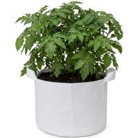 15-Gallon