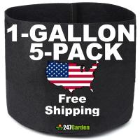 Free Shipping Special