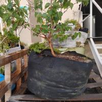 40-Gallon