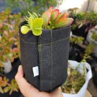 Transplanter Pots