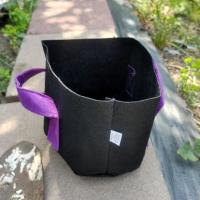 Black Fabric Pots w/Short Purple Handles