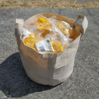 10-Gallon Grow Bags