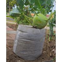 Seedling Bags