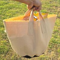Grocery Bags