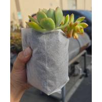 247Garden Best Sellers