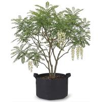 Grow Bags