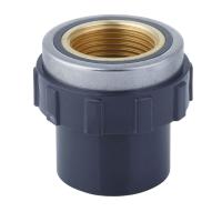 PVC Transition Fittings