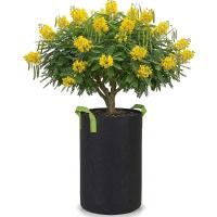 Specialty Pots