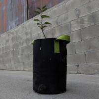Tall Fabric Pots