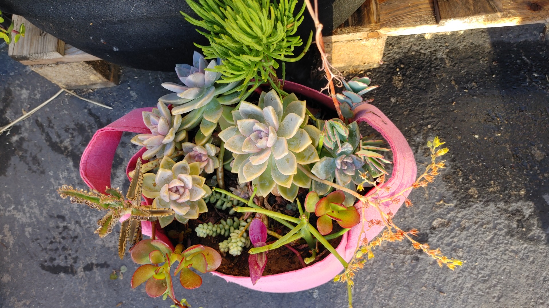 247Garden Red Grow Bags