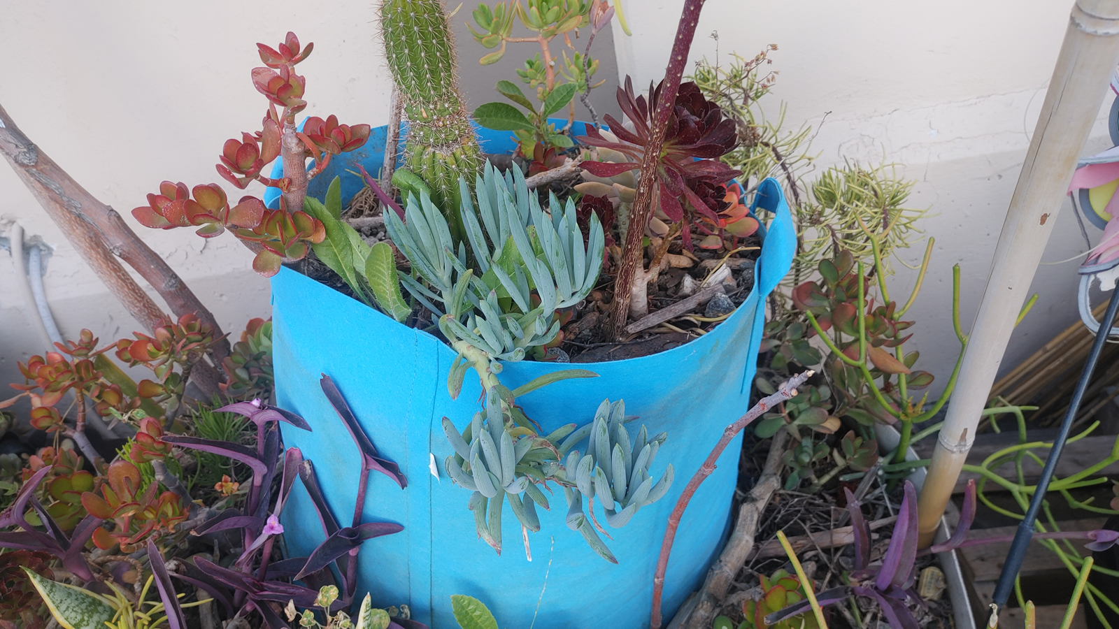 247Garden Blue Grow Bags