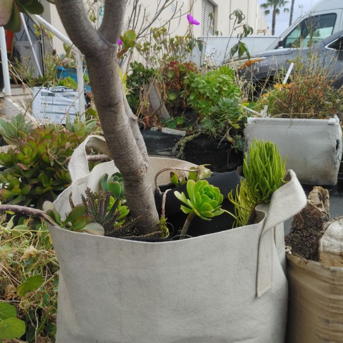 Exploring the Top 10 Most Popular Size 247Garden Grow Bags for Backyard  Gardening