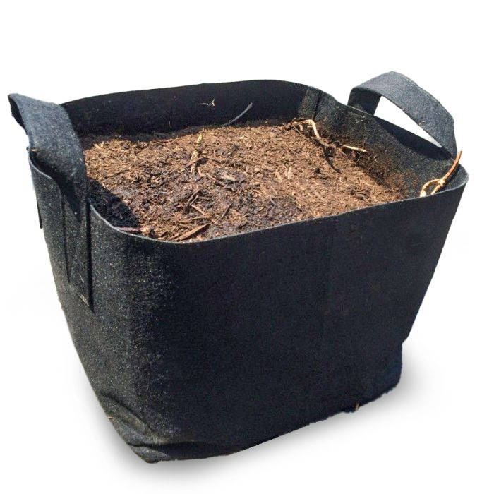 247Garden 2-Gallon Tall Aeration Fabric Pot/Tree Grow Bag (Black w/Green  Handles)