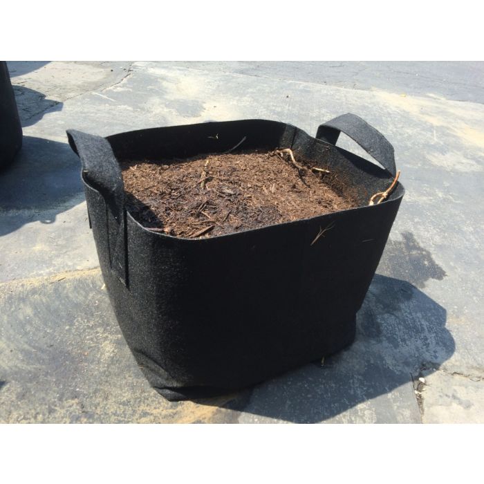 247Garden 3-Gallon Tall Aeration Fabric Pot/Tree Grow Bag (Black w