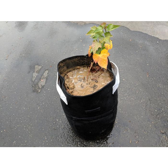 4/7/10 Gallon Potato Planting Grow Bag Fabric Pot Planter Vegetable Container B 