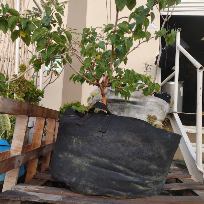 247Garden 40-Gallon Aeration Fabric Pot/Plant Grow Bag w/Handles (Black)