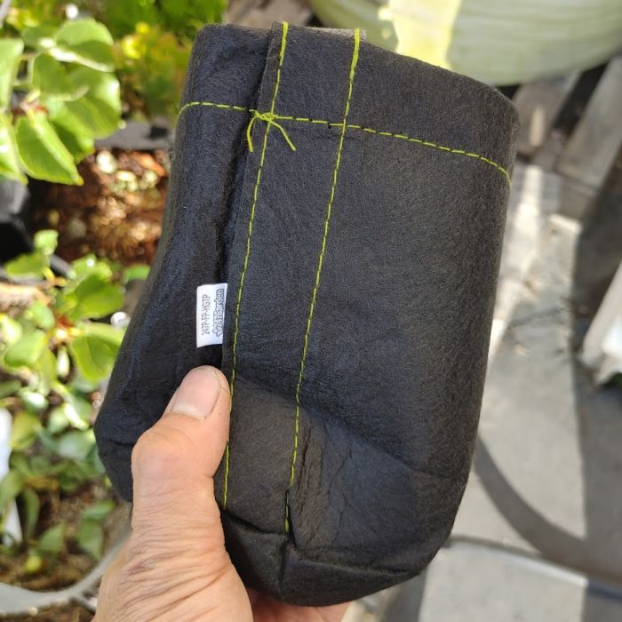 247Garden 1/2-Gallon Mini Transplanter Plant Grow Bags/Aeration