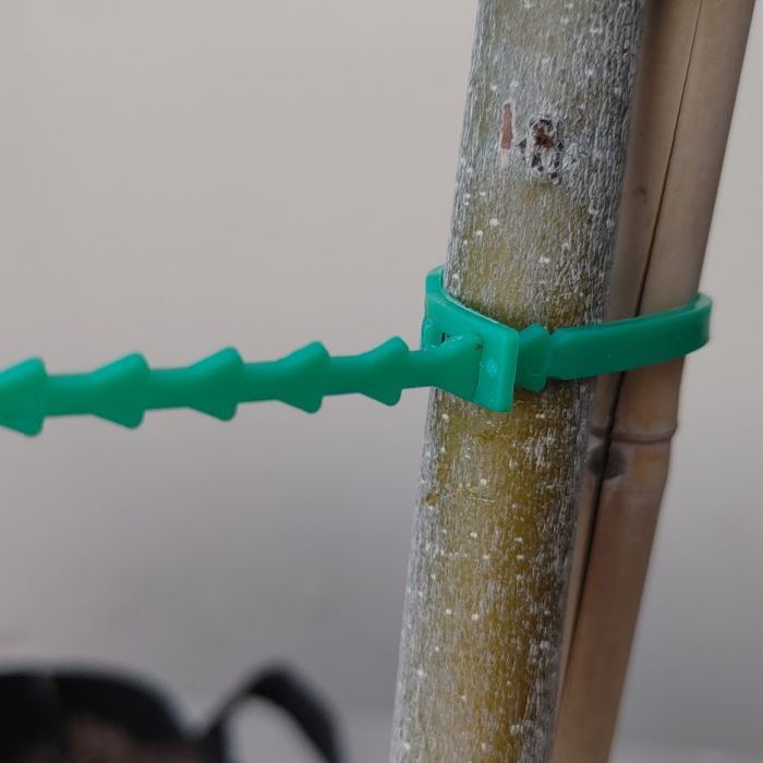 247Garden Plastic Plant Zip Tie Support 23CM