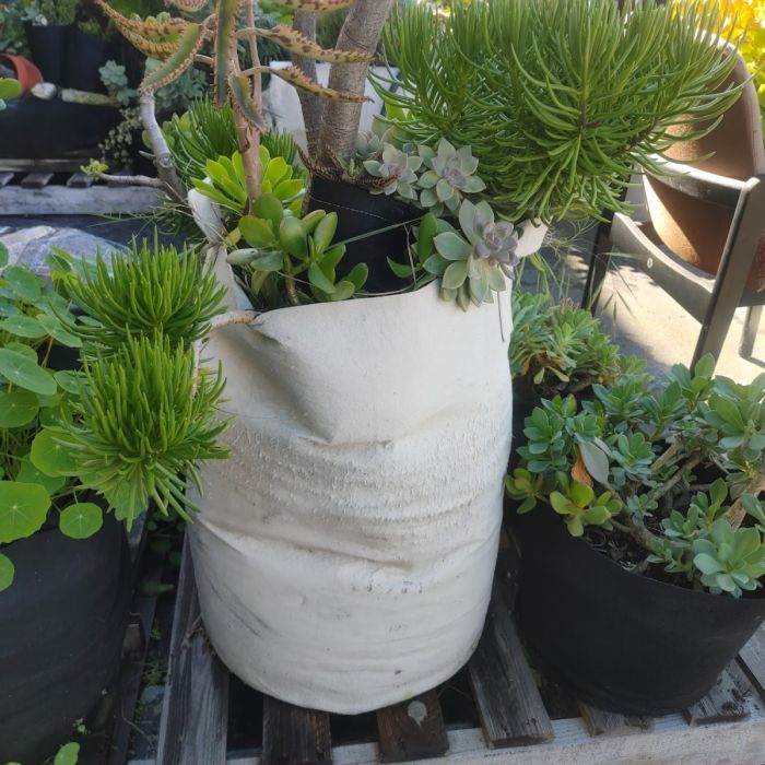 247Garden 20-Gallon Tall Aeration Fabric Pot/Tree Grow Bag (Tan w/Handles  23H x 16D)