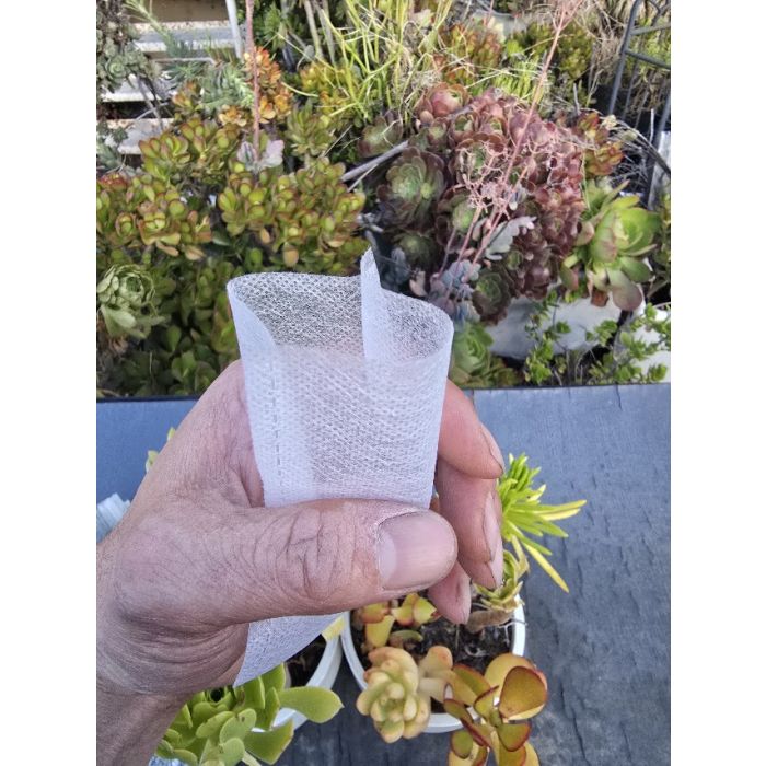 100pcs 247Garden 3x4" Aeration Seedling Fabric Pots/Grow Bags