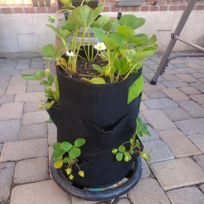 247Garden 10-Gallon Strawberry Fabric Pot +7 Mini Pockets w/Handles