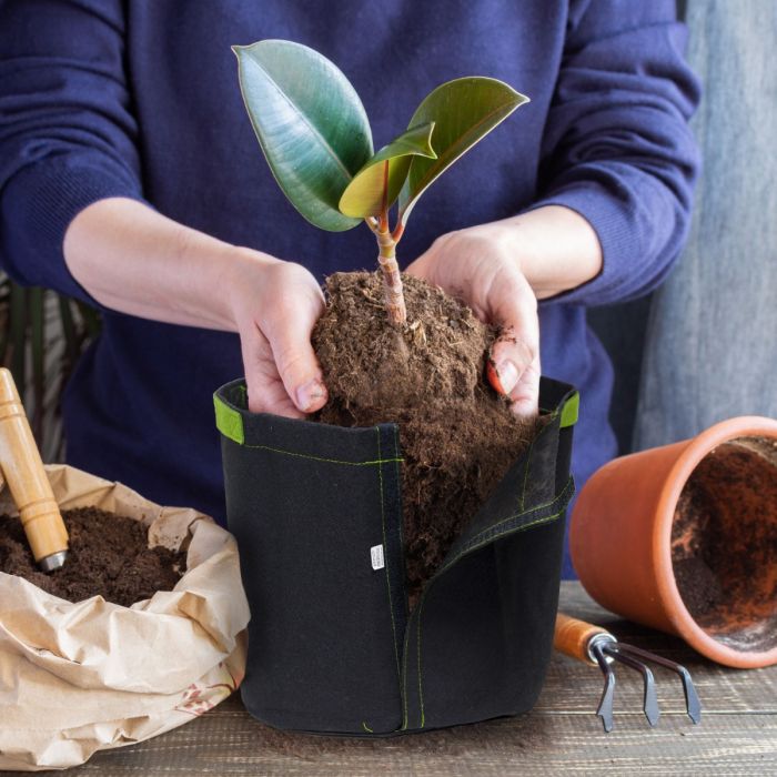 247Garden 1-Gallon Transplanter Fabric Pot w/Velcro Closure & Short Green  Handles (Black 6H x 7D)