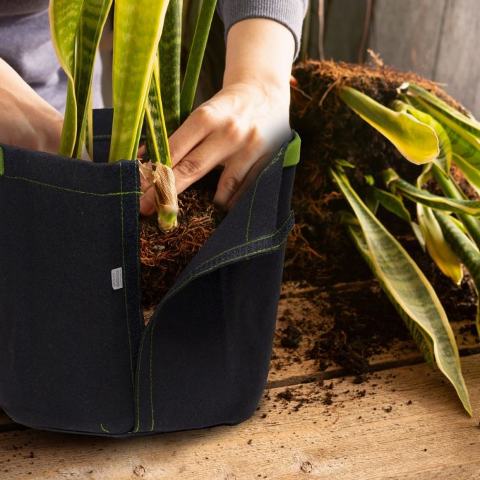 247Garden 3-Gallon Transplanter Fabric Pot w/Velcro Closure & Short Green  Handles (Black 9H x 10D)