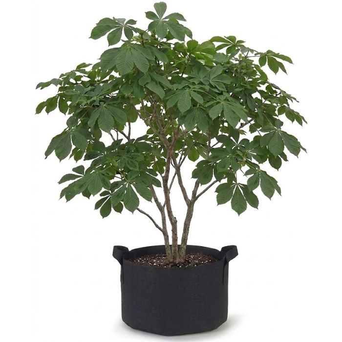 plant container with trellis Eva Solo Simply Grow Plant Pot Large w Trellis
