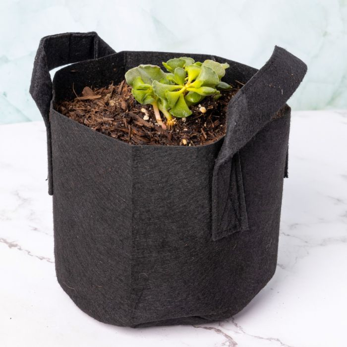247Garden 1-Gallon Fabric Pot / Cloth Grow Bag / Garden Planter (Black) for Flowers and Trees