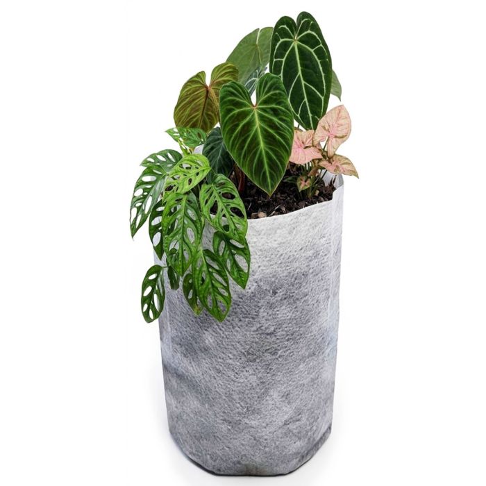 247Garden 1.5-Gallon Tall Starter Plant Grow Bag White 60GSM Aeration  Fabric Pot BPA-Free 6.5