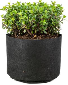 247Garden 2-Gallon Basic Black Fabric Pot 200GSM No Handles 7.5H x 8.5D