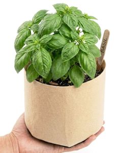 247Garden 1-Gallon Basic Aeration Tan Fabric Pot/Plant Grow Bag (200GSM BPA-Free Fabric, 6H x 7D)