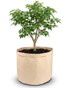 247Garden 10-Gallon Basic Aeration Tan Fabric Pot/Plant Grow Bag (200GSM BPA-Free Fabric, 13H x 15D)