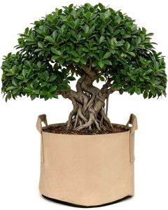 247Garden 15-Gallon Aeration Fabric Pot/Plant Grow Bag w/Handles (Tan w/Black Base 14.5H x 17D)