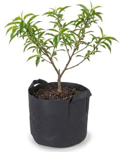 247Garden 10-Gallon Aeration Fabric Pot/Plant Grow Bag w/Handles (Black 13H x 15D)