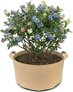 247Garden 15-Gallon Short Aeration Fabric Pot/Vegetable Garden Grow Bag w/Handles (Tan 12H x  19D)