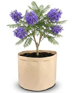 247Garden 15-Gallon Basic Aeration Tan Fabric Pot/Plant Grow Bag (200GSM BPA-Free Fabric, 14.5H x 17D)