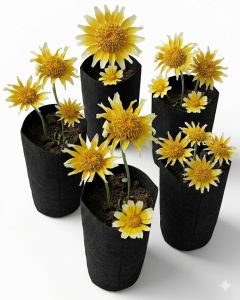 5-Pack 1/4-Gallon Skinny Tall Black Fabric Pots/Deep Aeration Grow Bags 3D x 8H