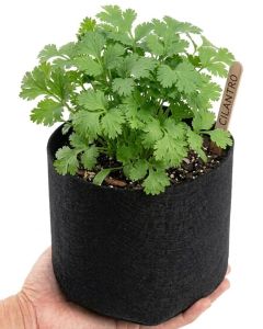 247Garden 1-Gallon Basic Black Fabric Pot 200GSM No Handles 6H x 7D