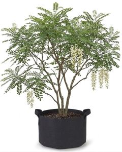 247Garden 20-Gallon Aeration Fabric Pot/Plant Grow Bag w/Handles (Black 16H x 19D)