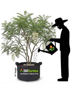 247Garden 20-Gallon Planters Grow Bag/Aeration Fabric Pots w/Handles (Black 16H x 19D) 70PC/Case Wholesale Special w/Free Shipping USA Mainland