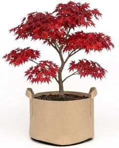 247Garden 20-Gallon Aeration Fabric Pot/Plant Grow Bag w/Handles (Tan w/Black Base 16H x 19D)