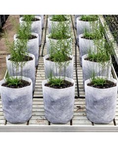 100-Pack 1/2-Gallon OG Starter Plant Grow Bags White 40GSM Aeration Fabric Pots BPA-Free 5H x 6D w/Adjustable Height +Free Shipping USA