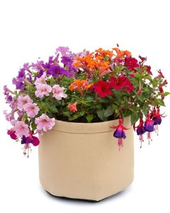 247Garden 1-Gallon Basic Aeration Tan Fabric Pot/Plant Grow Bag (200GSM BPA-Free Fabric, 6H x 7D)