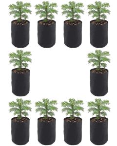 10-Pack 247Garden 1/2 Gallon Basic Aeration Fabric Pots/Plant Grow Bags (Black Color, 200GSM, 6H x 5D)