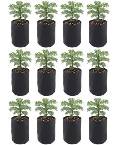 12-Pack 247Garden 1/2 Gallon Basic Aeration Fabric Pots/Plant Grow Bags (Black Color, 200GSM, 6H x 5D)