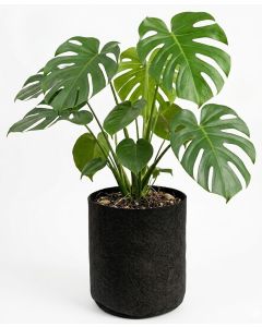 247Garden 1/4 Gallon Basic Aeration Fabric Pot/Plant Grow Bag (Black Color, 200GSM, 5H x 4D)