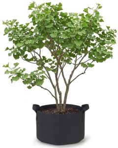 247Garden 25-Gallon Aeration Fabric Pot/Plant Grow Bag w/Handles (Black 16.5H x 21D)