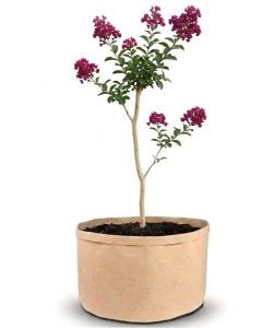 247Garden 25-Gallon Basic Aeration Tan Fabric Pot/Plant Grow Bag (200GSM BPA-Free Fabric, 16.5H x 21D)